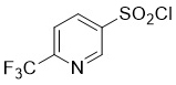 6-三氟甲基-3-吡啶磺酰氯